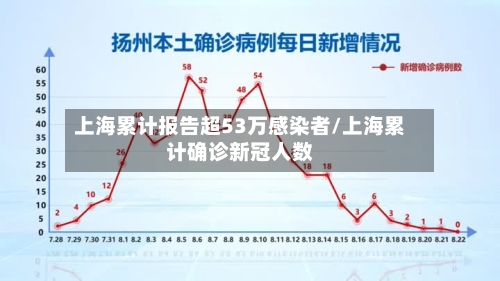 上海累计报告超53万感染者/上海累计确诊新冠人数