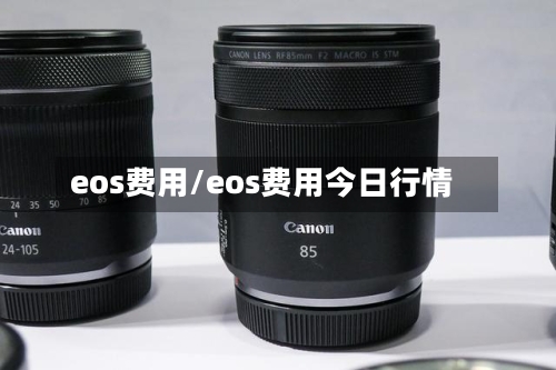 eos费用/eos费用今日行情-第3张图片