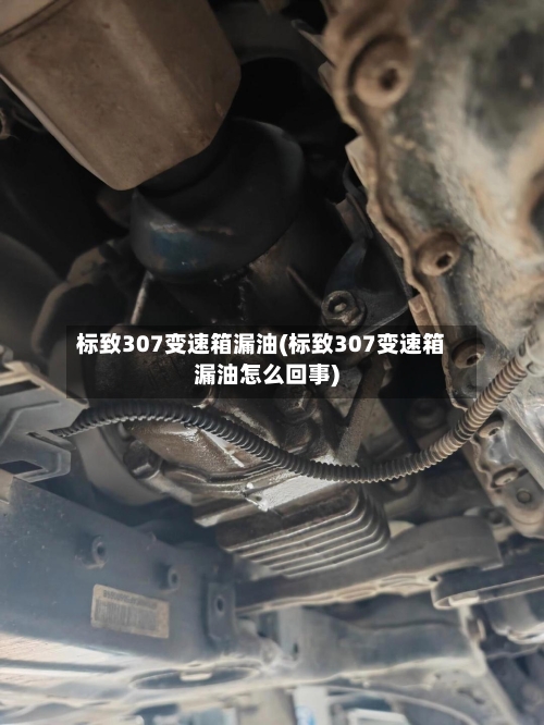 标致307变速箱漏油(标致307变速箱漏油怎么回事)