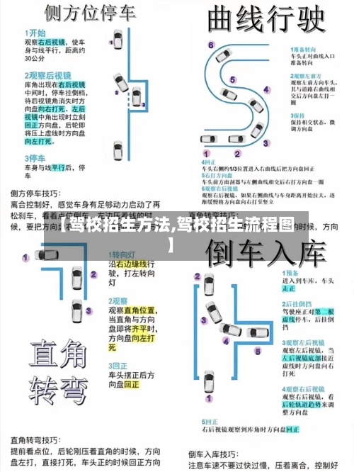 【驾校招生方法,驾校招生流程图】
