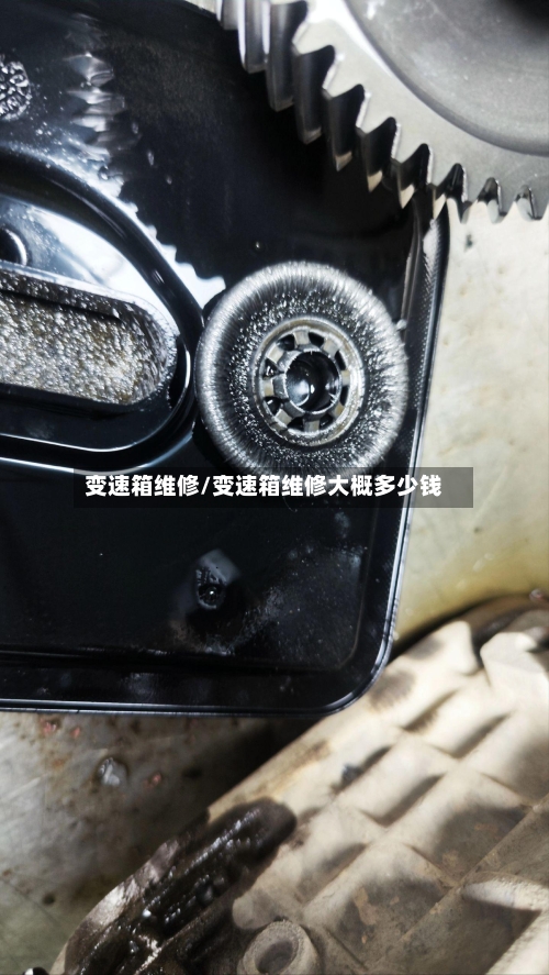 变速箱维修/变速箱维修大概多少钱
