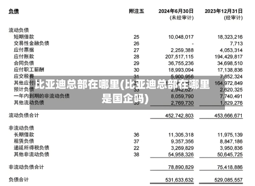 比亚迪总部在哪里(比亚迪总部在哪里是国企吗)-第2张图片