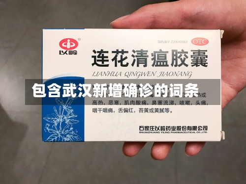 包含武汉新增确诊的词条