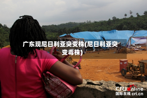 广东现尼日利亚突变株(尼日利亚突变毒株)