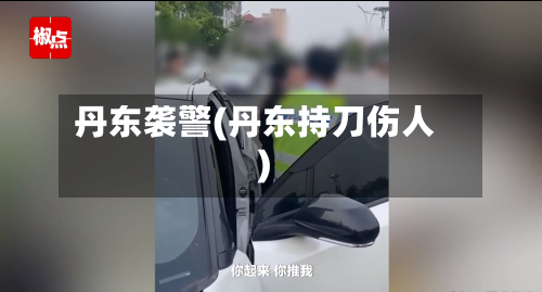 丹东袭警(丹东持刀伤人)