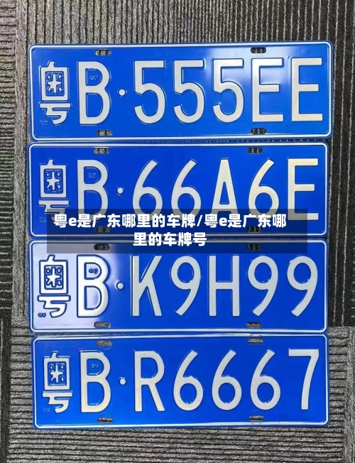 粤e是广东哪里的车牌/粤e是广东哪里的车牌号
