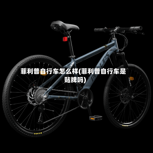 菲利普自行车怎么样(菲利普自行车是贴牌吗)