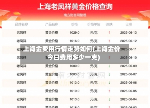 上海金费用行情走势如何(上海金价今日费用多少一克)-第1张图片