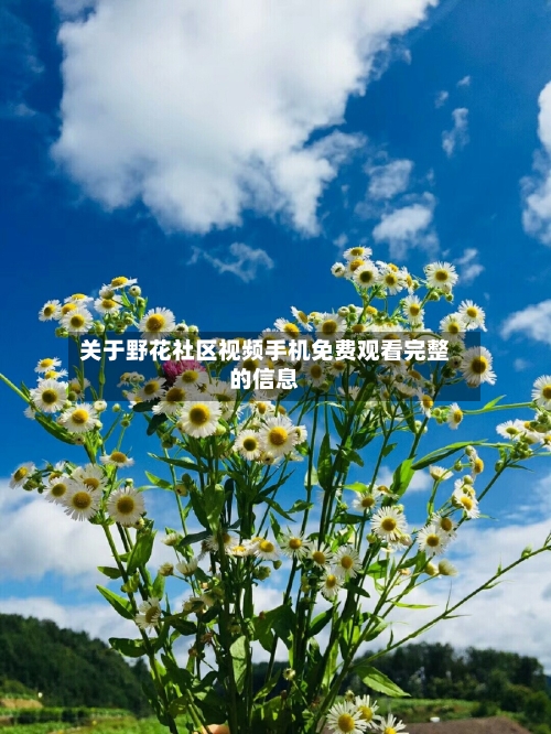 关于野花社区视频手机免费观看完整的信息-第2张图片