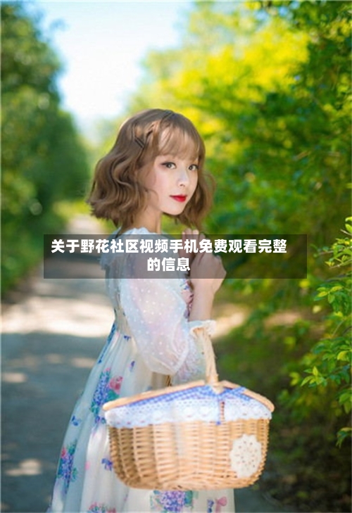 关于野花社区视频手机免费观看完整的信息-第1张图片