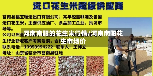 河南南阳的花生米行情/河南南阳花生市场价-第3张图片