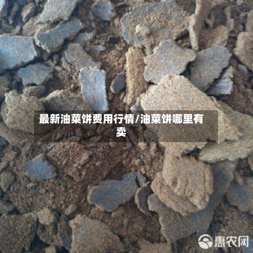 最新油菜饼费用行情/油菜饼哪里有卖-第2张图片