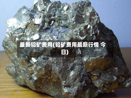 最新铅矿费用(铅矿费用最新行情 今日)