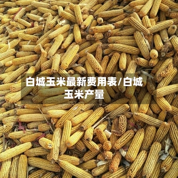 白城玉米最新费用表/白城玉米产量