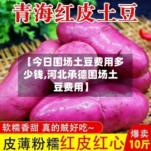 【今日围场土豆费用多少钱,河北承德围场土豆费用】