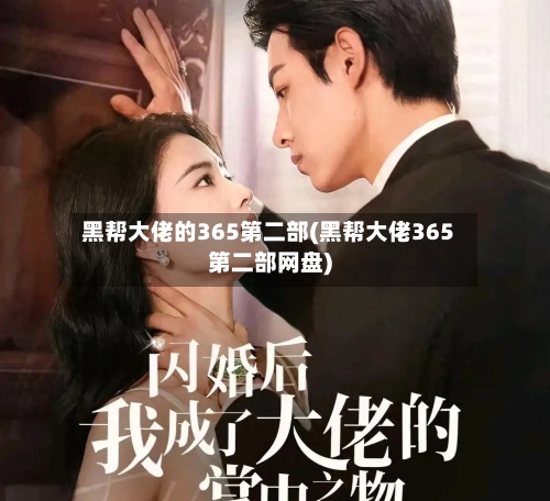黑帮大佬的365第二部(黑帮大佬365第二部网盘)