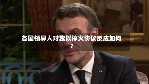 各国领导人对黎以停火协议反应如何？-第2张图片