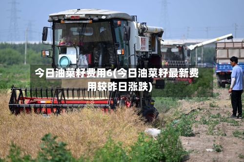 今日油菜籽费用6(今日油菜籽最新费用较昨日涨跌)-第1张图片