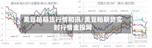 美豆粕期货行情和讯/美豆粕期货实时行情金投网-第2张图片