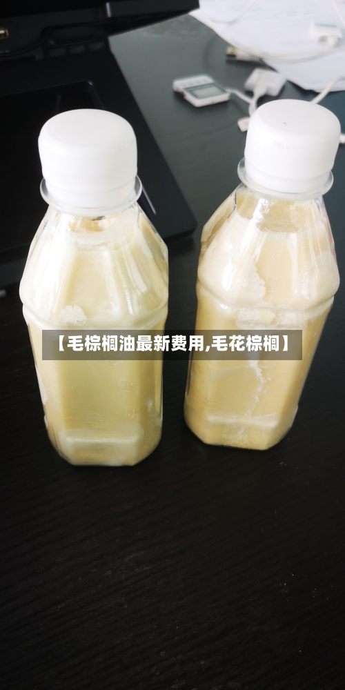 【毛棕榈油最新费用,毛花棕榈】