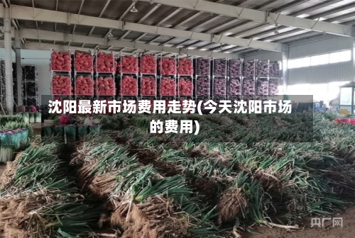 沈阳最新市场费用走势(今天沈阳市场的费用)-第3张图片