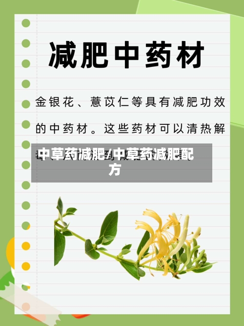 中草药减肥/中草药减肥配方-第2张图片