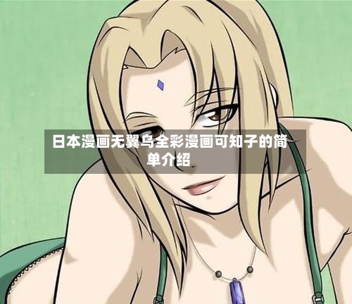 日本漫画无翼乌全彩漫画可知子的简单介绍