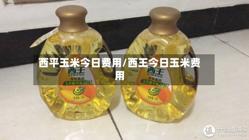 西平玉米今日费用/西王今日玉米费用