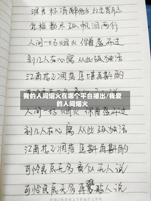 我的人间烟火在哪个平台播出/我爱的人间烟火-第2张图片
