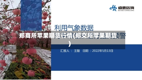 郑商所苹果期货行情(郑交所苹果期货)-第3张图片