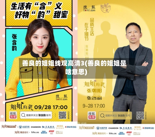 善良的姐姐线观高清3(善良的姐姐是啥意思)