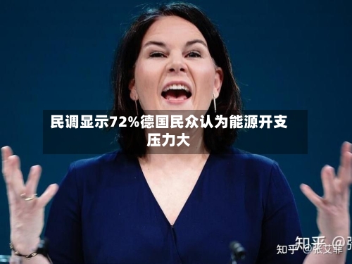 民调显示72%德国民众认为能源开支压力大-第3张图片