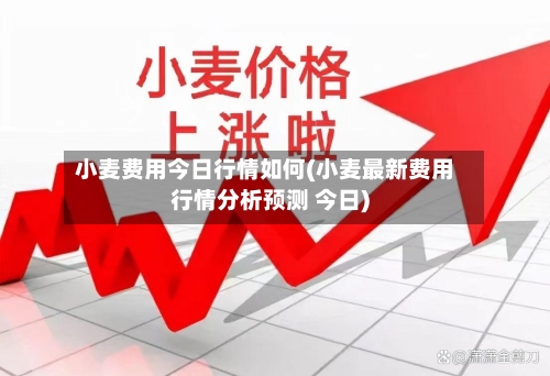 小麦费用今日行情如何(小麦最新费用行情分析预测 今日)