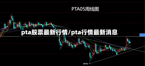 pta股票最新行情/pta行情最新消息-第3张图片