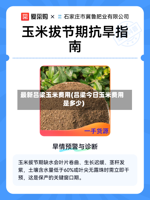 最新吕梁玉米费用(吕梁今日玉米费用是多少)