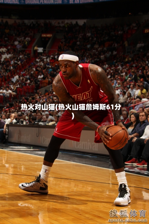 热火对山猫(热火山猫詹姆斯61分)-第3张图片