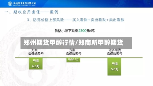 郑州期货甲醇行情/郑商所甲醇期货