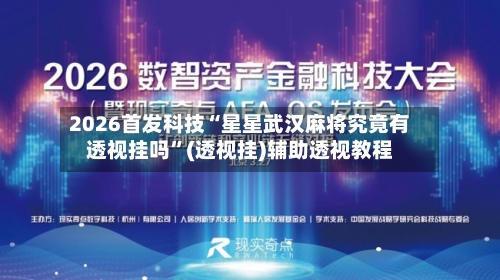 2026首发科技“星星武汉麻将究竟有透视挂吗”(透视挂)辅助透视教程-第3张图片