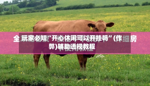 玩家必知“开心休闲可以开挂吗”(作弊)辅助透视教程