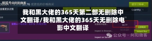 我和黑大佬的365天第二部无删除中文翻译/我和黑大佬的365天无删除电影中文翻译-第3张图片