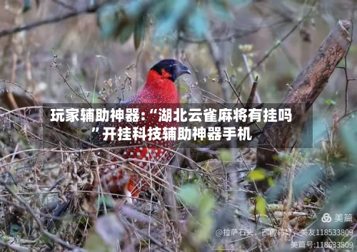 玩家辅助神器:“湖北云雀麻将有挂吗”开挂科技辅助神器手机