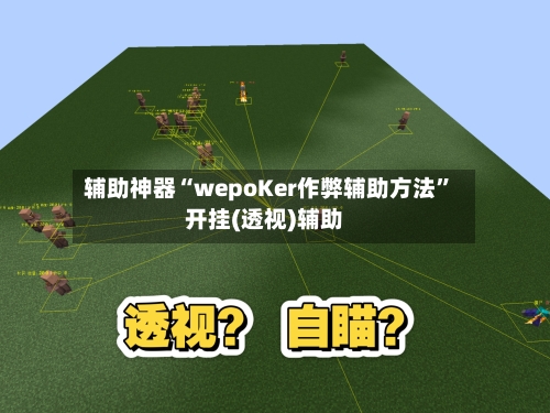 辅助神器“wepoKer作弊辅助方法”开挂(透视)辅助-第3张图片