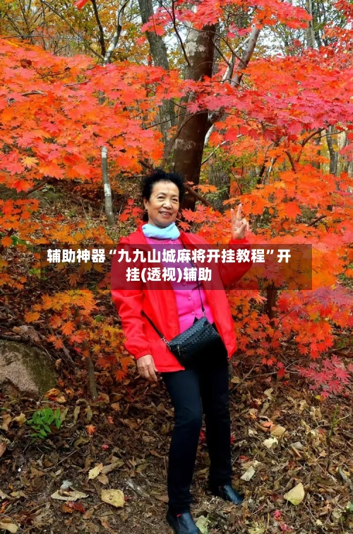 辅助神器“九九山城麻将开挂教程”开挂(透视)辅助-第2张图片