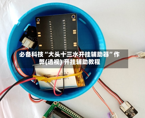 必备科技“大头十三水开挂辅助器”作弊(透视) 开挂辅助教程-第2张图片