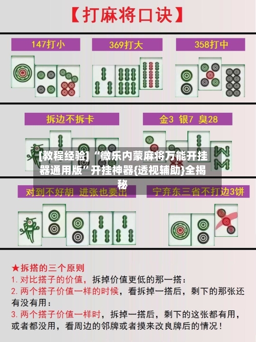 [教程经验] “微乐内蒙麻将万能开挂器通用版”开挂神器{透视辅助}全揭秘-第3张图片
