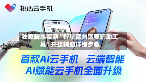 独家脚本实测“智星德州菠萝辅助工具”开挂辅助详细步骤-第3张图片