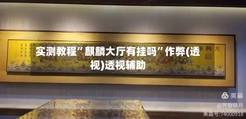 实测教程	”麒麟大厅有挂吗”作弊(透视)透视辅助-第3张图片