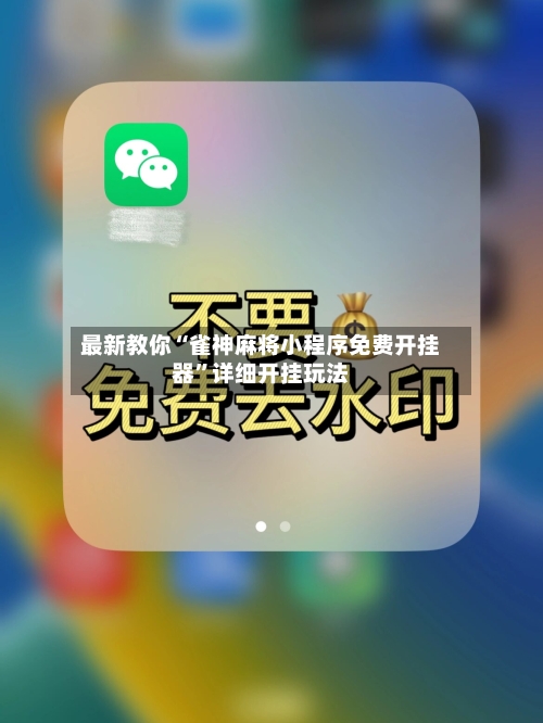 最新教你“雀神麻将小程序免费开挂器”详细开挂玩法-第3张图片