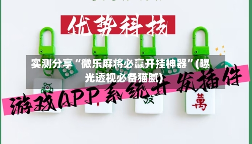 实测分享“微乐麻将必赢开挂神器”(曝光透视必备猫腻)-第3张图片