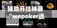 辅助开挂神器“wepoker透视挂付款保证金”详细分享装挂步骤教程-第2张图片